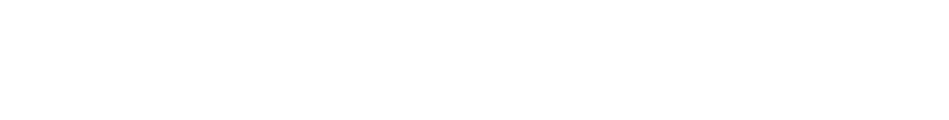Bridgestone