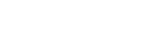 The Tour Guy